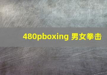 480pboxing 男女拳击